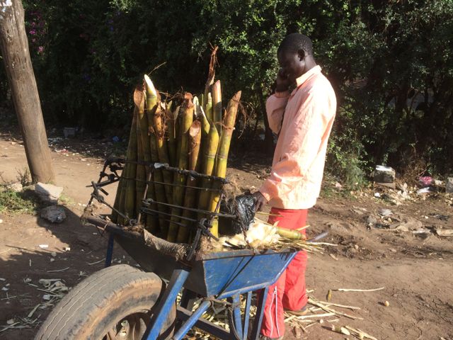 Sockerrörsförsäljaren - han har så pass inkomst att han kan ringa på sin mobil. Lägg märke till skottkärrehjulet!