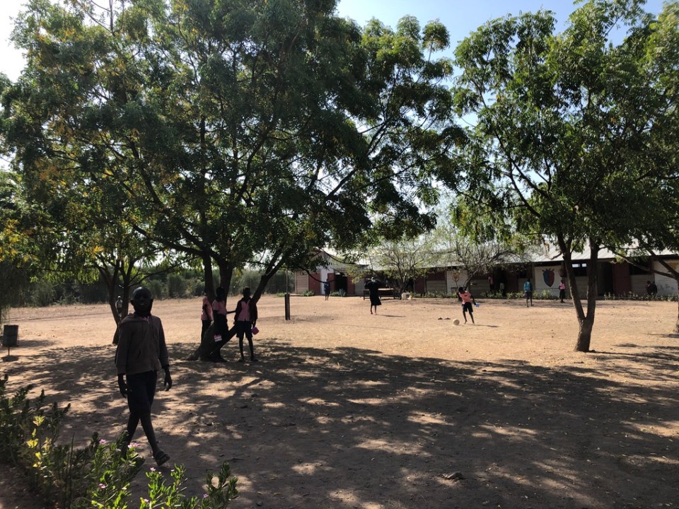 Denna bild har ett alt-attribut som är tomt. Dess filnamn är unadjustednonraw_thumb_c543.jpg